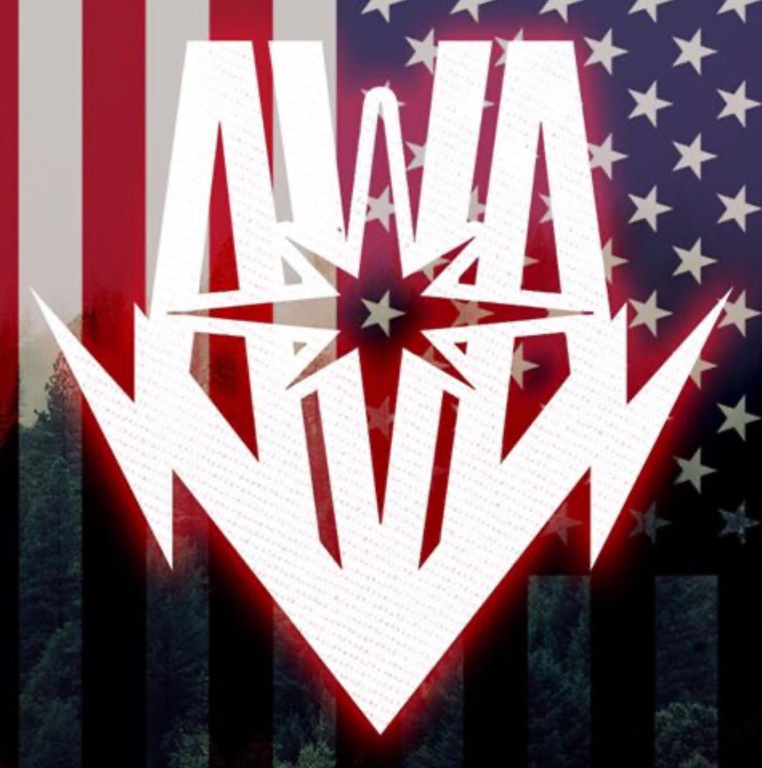 VETERAN’S DAY UPDATE
